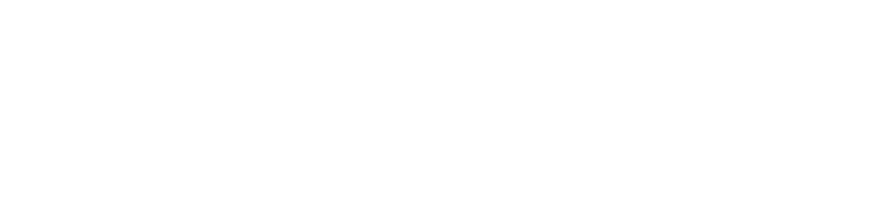 FidelCard